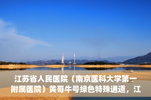 江苏省人民医院（南京医科大学第一附属医院）黄哥牛号绿色特殊通道，江苏省人民医院绿色特殊通道，黄哥牛号的医疗速度与温情服务