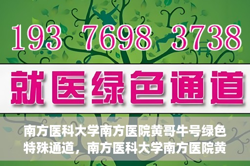 南方医科大学南方医院黄哥牛号绿色特殊通道，南方医科大学南方医院黄哥牛号，绿色特殊通道开启健康之门