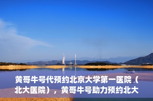 黄哥牛号代预约北京大学第一医院（北大医院），黄哥牛号助力预约北大医院——北京大学第一医院权威预约服务开启
