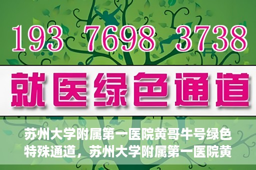 苏州大学附属第一医院黄哥牛号绿色特殊通道，苏州大学附属第一医院黄哥牛号，绿色特殊通道的守护力量