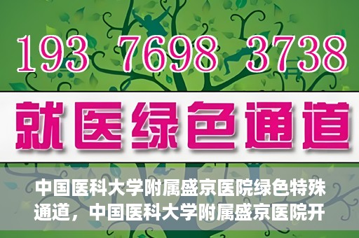 中国医科大学附属盛京医院绿色特殊通道，中国医科大学附属盛京医院开通绿色特殊通道，助力患者快速就医