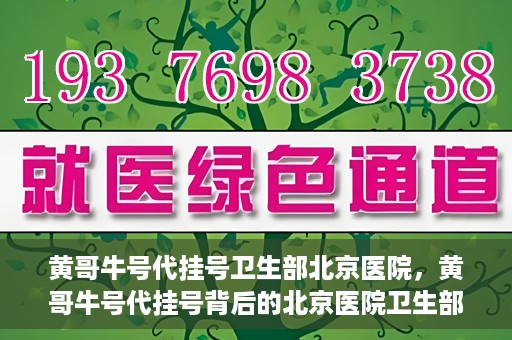 黄哥牛号代挂号卫生部北京医院，黄哥牛号代挂号背后的北京医院卫生部揭秘