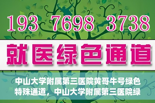 中山大学附属第三医院黄哥牛号绿色特殊通道，中山大学附属第三医院绿色特殊通道，黄哥牛号引领医疗创新之路