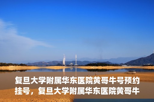 复旦大学附属华东医院黄哥牛号预约挂号，复旦大学附属华东医院黄哥牛号预约挂号攻略解析