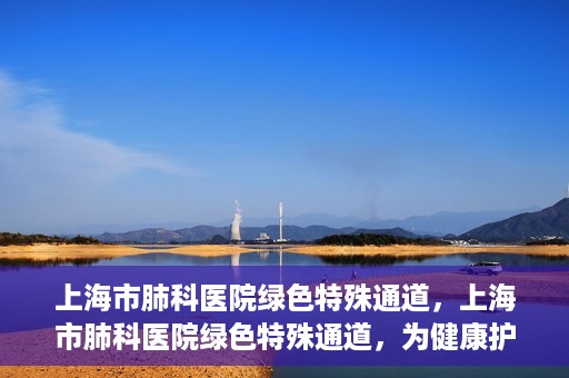 上海市肺科医院绿色特殊通道，上海市肺科医院绿色特殊通道，为健康护航的紧急通道