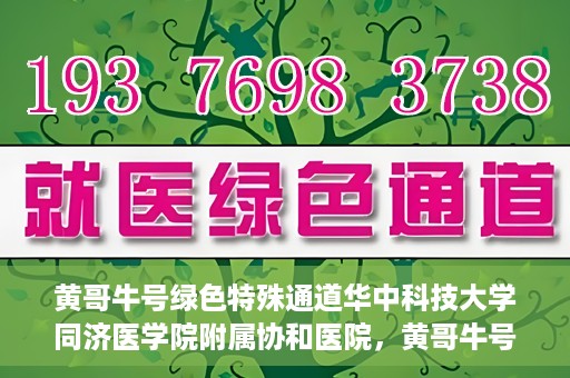 黄哥牛号绿色特殊通道华中科技大学同济医学院附属协和医院，黄哥牛号开启绿色特殊通道，华中科技大学同济医学院附属协和医院助力健康中国行动