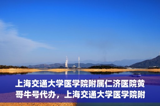上海交通大学医学院附属仁济医院黄哥牛号代办，上海交通大学医学院附属仁济医院黄哥牛号代办服务详解