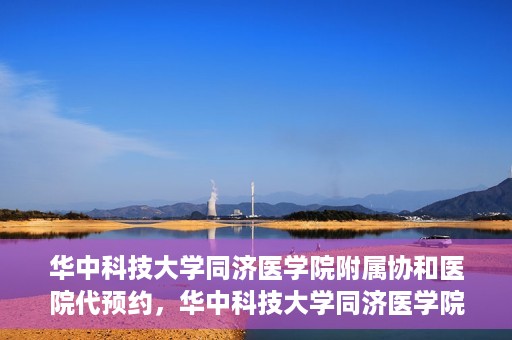 华中科技大学同济医学院附属协和医院代预约，华中科技大学同济医学院附属协和医院便捷代预约服务解析