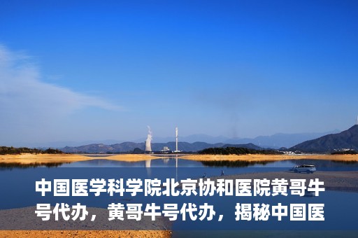 中国医学科学院北京协和医院黄哥牛号代办，黄哥牛号代办，揭秘中国医学科学院北京协和医院背后的故事