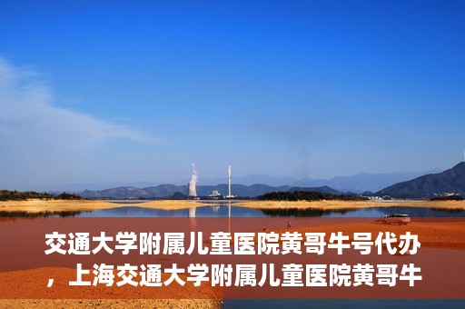 交通大学附属儿童医院黄哥牛号代办，上海交通大学附属儿童医院黄哥牛号代办揭秘，真相与警示