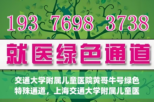 交通大学附属儿童医院黄哥牛号绿色特殊通道，上海交通大学附属儿童医院黄哥牛号绿色特殊通道揭秘