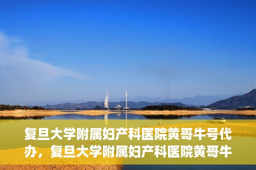 复旦大学附属妇产科医院黄哥牛号代办，复旦大学附属妇产科医院黄哥牛号代办，专业医疗服务的信誉之选