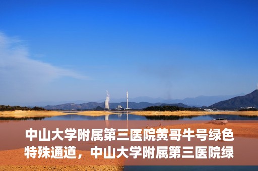 中山大学附属第三医院黄哥牛号绿色特殊通道，中山大学附属第三医院绿色特殊通道，黄哥牛号引领医疗创新之路