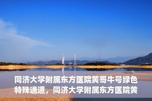 同济大学附属东方医院黄哥牛号绿色特殊通道，同济大学附属东方医院黄哥牛号，绿色特殊通道开启健康之门