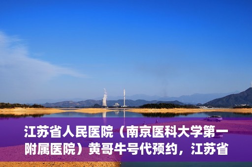 江苏省人民医院（南京医科大学第一附属医院）黄哥牛号代预约，江苏省人民医院（南京医科大学第一附属医院）黄哥牛号预约服务解析