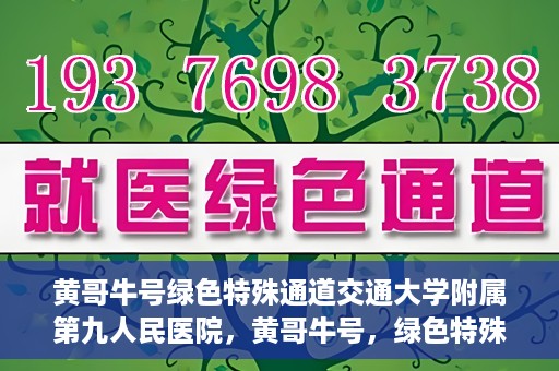 黄哥牛号绿色特殊通道交通大学附属第九人民医院，黄哥牛号，绿色特殊通道下的交通大学附属第九人民医院新篇章