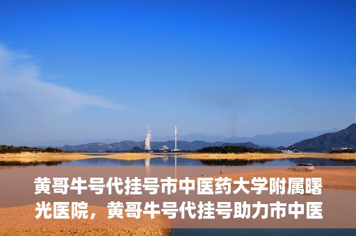黄哥牛号代挂号市中医药大学附属曙光医院，黄哥牛号代挂号助力市中医药大学附属曙光医院就医无忧