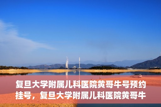 复旦大学附属儿科医院黄哥牛号预约挂号，复旦大学附属儿科医院黄哥牛号预约挂号攻略解析