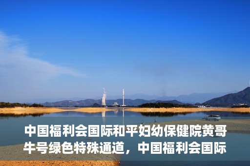 中国福利会国际和平妇幼保健院黄哥牛号绿色特殊通道，中国福利会国际和平妇幼保健院开设黄哥牛号绿色特殊通道，助力母婴健康关爱行动