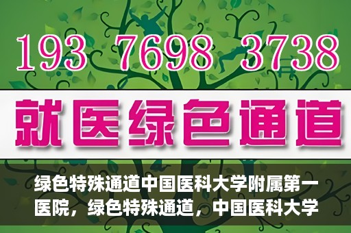 绿色特殊通道中国医科大学附属第一医院，绿色特殊通道，中国医科大学附属第一医院探索前行