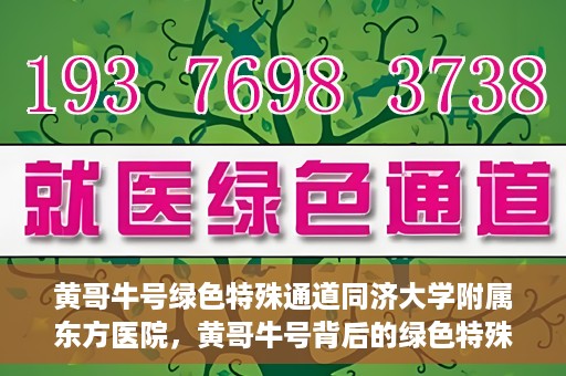 黄哥牛号绿色特殊通道同济大学附属东方医院，黄哥牛号背后的绿色特殊通道，同济大学附属东方医院的探索与实践