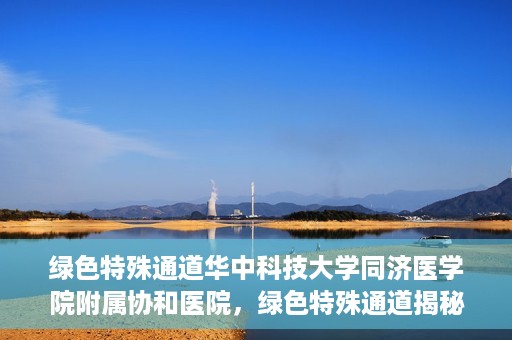 绿色特殊通道华中科技大学同济医学院附属协和医院，绿色特殊通道揭秘，华中科技大学同济医学院附属协和医院的故事