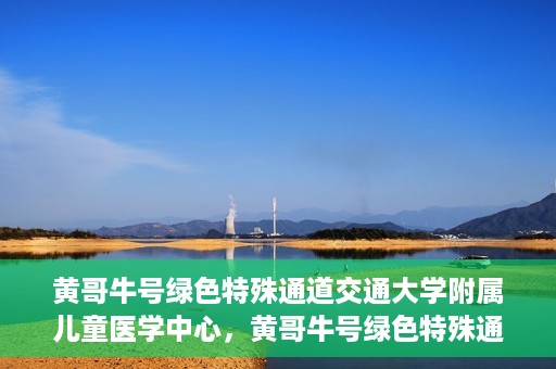 黄哥牛号绿色特殊通道交通大学附属儿童医学中心，黄哥牛号绿色特殊通道，交通大学附属儿童医学中心探访之旅