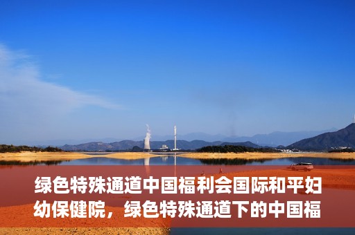 绿色特殊通道中国福利会国际和平妇幼保健院，绿色特殊通道下的中国福利会国际和平妇幼保健院，守护母婴健康的温馨港湾