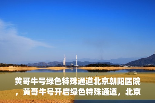 黄哥牛号绿色特殊通道北京朝阳医院，黄哥牛号开启绿色特殊通道，北京朝阳医院助力健康之路
