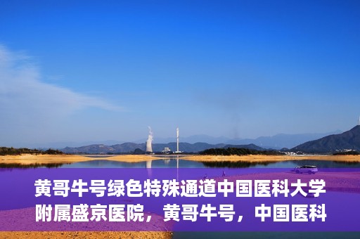 黄哥牛号绿色特殊通道中国医科大学附属盛京医院，黄哥牛号，中国医科大学附属盛京医院开启绿色特殊通道助力医疗进步