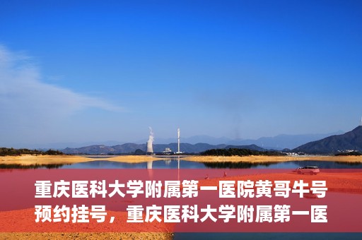 重庆医科大学附属第一医院黄哥牛号预约挂号，重庆医科大学附属第一医院黄哥牛号预约挂号攻略