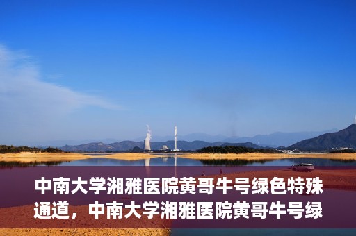 中南大学湘雅医院黄哥牛号绿色特殊通道，中南大学湘雅医院黄哥牛号绿色特殊通道，医疗服务的创新实践与人文关怀的体现