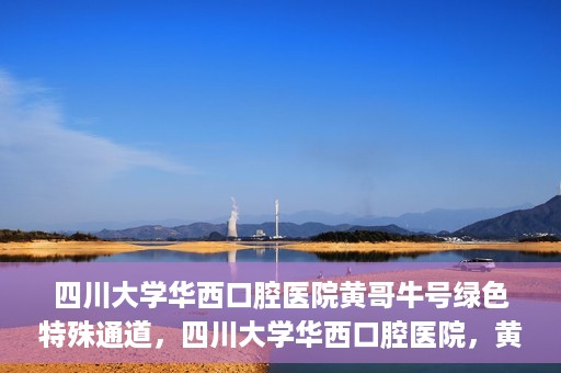 四川大学华西口腔医院黄哥牛号绿色特殊通道，四川大学华西口腔医院，黄哥牛号绿色特殊通道揭秘