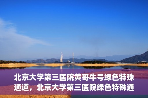 北京大学第三医院黄哥牛号绿色特殊通道，北京大学第三医院绿色特殊通道，黄哥牛号的探索与实践