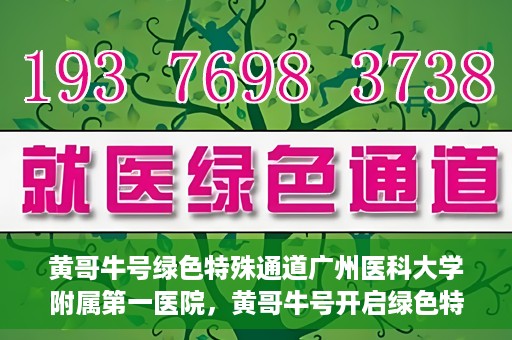 黄哥牛号绿色特殊通道广州医科大学附属第一医院，黄哥牛号开启绿色特殊通道，广州医科大学附属第一医院创新医疗体验