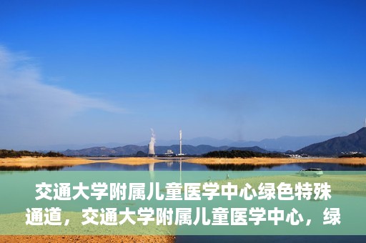 交通大学附属儿童医学中心绿色特殊通道，交通大学附属儿童医学中心，绿色特殊通道，守护儿童健康之路