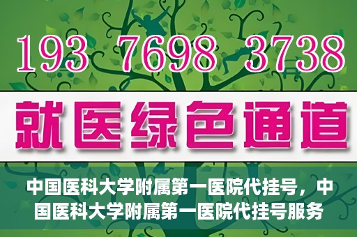 中国医科大学附属第一医院代挂号，中国医科大学附属第一医院代挂号服务详解