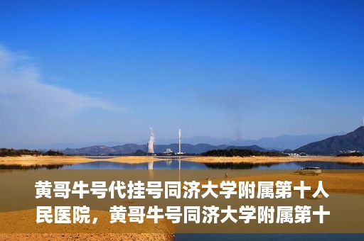 黄哥牛号代挂号同济大学附属第十人民医院，黄哥牛号同济大学附属第十人民医院代挂号服务解析