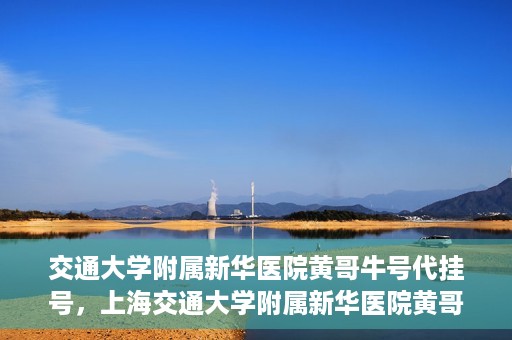 交通大学附属新华医院黄哥牛号代挂号，上海交通大学附属新华医院黄哥牛号代挂号攻略