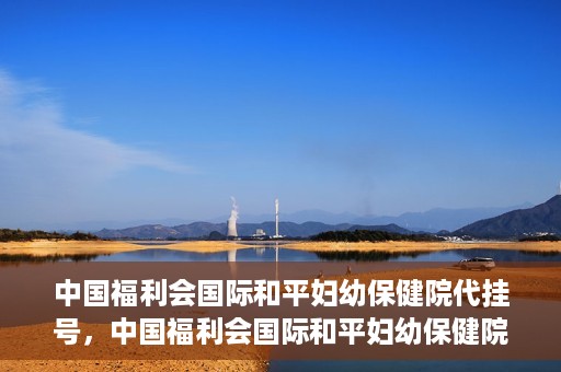 中国福利会国际和平妇幼保健院代挂号，中国福利会国际和平妇幼保健院便捷代挂号服务