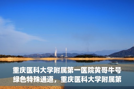 重庆医科大学附属第一医院黄哥牛号绿色特殊通道，重庆医科大学附属第一医院黄哥牛号绿色特殊通道，就医新选择