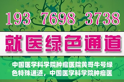 中国医学科学院肿瘤医院黄哥牛号绿色特殊通道，中国医学科学院肿瘤医院黄哥牛号，绿色特殊通道开启健康之门
