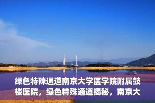 绿色特殊通道南京大学医学院附属鼓楼医院，绿色特殊通道揭秘，南京大学医学院附属鼓楼医院的探索与实践