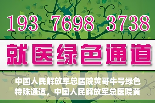 中国人民解放军总医院黄哥牛号绿色特殊通道，中国人民解放军总医院黄哥牛号，绿色特殊通道开启健康之门