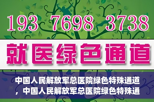 中国人民解放军总医院绿色特殊通道，中国人民解放军总医院绿色特殊通道，医疗服务的紧急通道与人文关怀的完美结合
