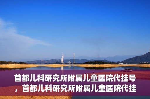 首都儿科研究所附属儿童医院代挂号，首都儿科研究所附属儿童医院代挂号服务详解