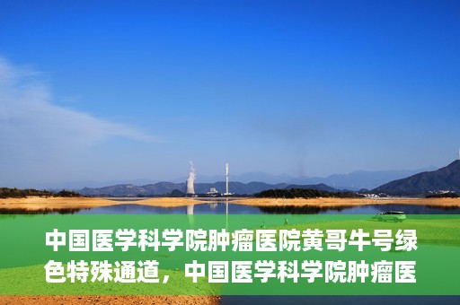 中国医学科学院肿瘤医院黄哥牛号绿色特殊通道，中国医学科学院肿瘤医院黄哥牛号，绿色特殊通道开启健康之门