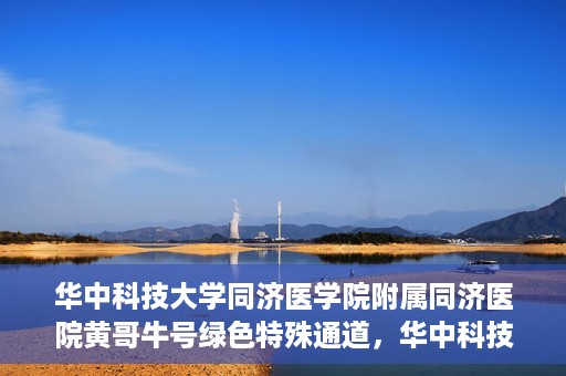 华中科技大学同济医学院附属同济医院黄哥牛号绿色特殊通道，华中科技大学同济医院黄哥牛号绿色特殊通道揭秘