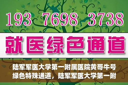 陆军军医大学第一附属医院黄哥牛号绿色特殊通道，陆军军医大学第一附属医院黄哥牛号，绿色特殊通道开启健康之门