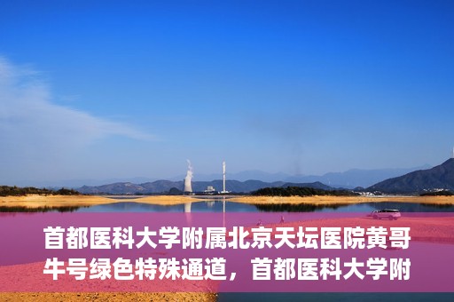 首都医科大学附属北京天坛医院黄哥牛号绿色特殊通道，首都医科大学附属北京天坛医院黄哥牛号，绿色特殊通道开启健康之门